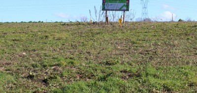 Terrain seul à Le Favril en Nord (59) de 0 m² à vendre au prix de 20000€