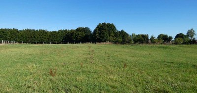 Terrain seul à Avesnes-le-Comte en Pas-de-Calais (62) de 2251 m² à vendre au prix de 66000€