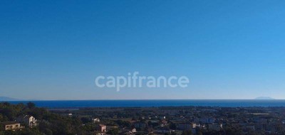 Terrain seul à Penta-di-Casinca en Haute-Corse (2B) de 1407 m² à vendre au prix de 148000€