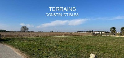 Terrain seul à Saint-Benoît-sur-Loire en Loiret (45) de 3002 m² à vendre au prix de 90000€