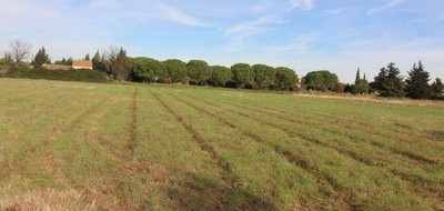 Terrain seul à Arles en Bouches-du-Rhône (13) de 4000 m² à vendre au prix de 375000€