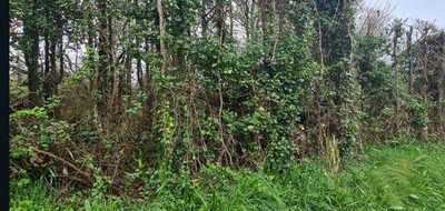 Terrain seul à Crozon en Finistère (29) de 992 m² à vendre au prix de 5976€