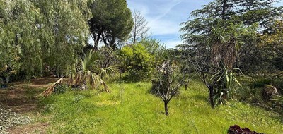 Terrain seul à Ollioules en Var (83) de 881 m² à vendre au prix de 375000€