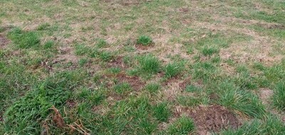 Terrain seul à Saint-Valery-en-Caux en Seine-Maritime (76) de 738 m² à vendre au prix de 47470€