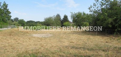 Terrain seul à La Ferté-Beauharnais en Loir-et-Cher (41) de 2716 m² à vendre au prix de 35000€