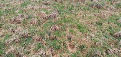 Terrain seul à Normanville en Seine-Maritime (76) de 704 m² à vendre au prix de 63000€