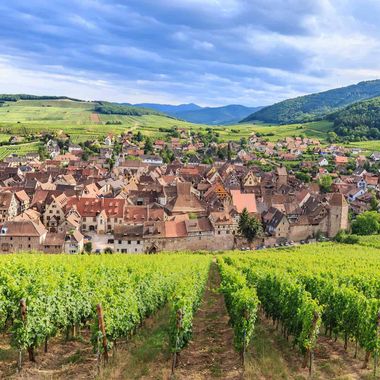 Image du post Acheter un terrain dans le Haut-Rhin (68) : zoom sur le marché foncier