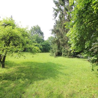 Image du post Nouveau lotissement à Courgent (Yvelines 78) : six terrains à vendre aux Jardins du Château 
