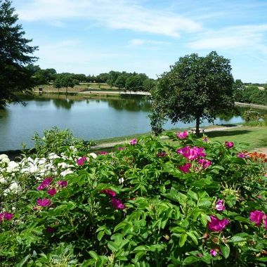 Image du post Athis-Val de Rouvre (61) : 17 terrains à vendre au lotissement « Le Clos du Bois »