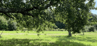 Programme terrain + maison à Locmiquélic en Morbihan (56) de 930 m² à vendre au prix de 313453€ - 4