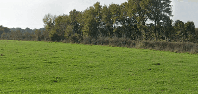 Programme terrain + maison à Orvault en Loire-Atlantique (44) de 350 m² à vendre au prix de 388929€ - 4