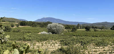 Terrain seul à Villedieu en Vaucluse (84) de 700 m² à vendre au prix de 124900€ - 2