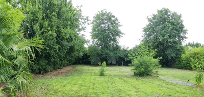 Terrain seul à Le Teich en Gironde (33) de 583 m² à vendre au prix de 305000€