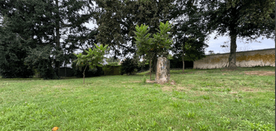 Terrain seul à La Chapelle-Saint-Laud en Maine-et-Loire (49) de 724 m² à vendre au prix de 79900€