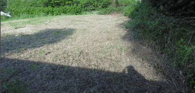 Terrain seul à Segré-en-Anjou Bleu en Maine-et-Loire (49) de 524 m² à vendre au prix de 49000€