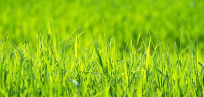 Programme terrain + maison à Écurcey en Doubs (25) de 80 m² à vendre au prix de 209371€ - 4