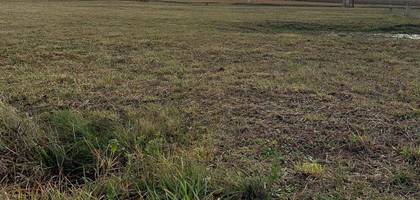 Terrain seul à Neuvicq-le-Château en Charente-Maritime (17) de 600 m² à vendre au prix de 22000€ - 1