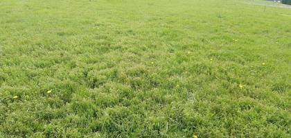 Terrain seul à Ébreuil en Allier (03) de 2352 m² à vendre au prix de 38000€ - 2