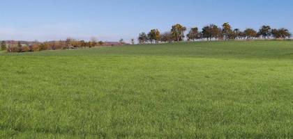 Terrain seul à Waldwisse en Moselle (57) de 519 m² à vendre au prix de 78000€ - 4