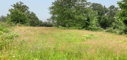 Terrain seul à Oradour-sur-Vayres en Haute-Vienne (87) de 1831 m² à vendre au prix de 20000€ - 4