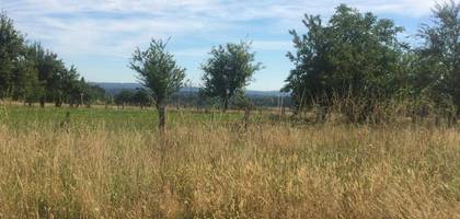 Terrain seul à Oradour-sur-Vayres en Haute-Vienne (87) de 1782 m² à vendre au prix de 23000€ - 3