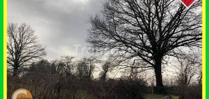 Terrain seul à Cérilly en Allier (03) de 0 m² à vendre au prix de 17500€ - 4