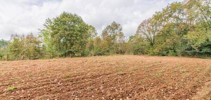 Terrain seul à Cherveix-Cubas en Dordogne (24) de 2535 m² à vendre au prix de 26000€ - 2