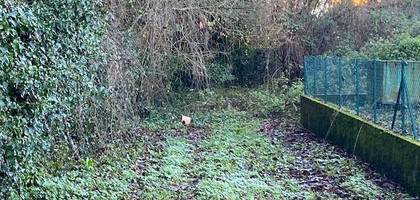Terrain seul à Montrevel-en-Bresse en Ain (01) de 1196 m² à vendre au prix de 65000€ - 4