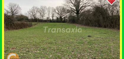 Terrain seul à Cérilly en Allier (03) de 0 m² à vendre au prix de 17500€ - 2