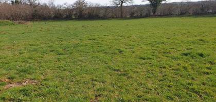 Terrain seul à Mauriac en Cantal (15) de 5828 m² à vendre au prix de 79500€ - 2