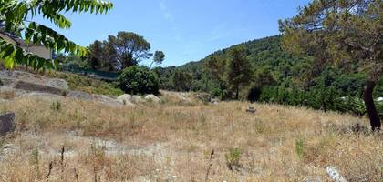 Terrain seul à Contes en Alpes-Maritimes (06) de 10000 m² à vendre au prix de 2103000€ - 3