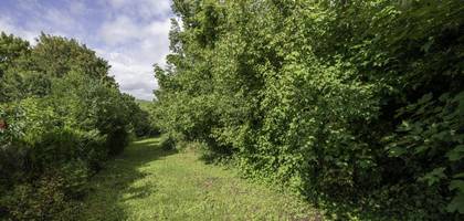Terrain seul à Bacouël en Oise (60) de 1434 m² à vendre au prix de 53000€ - 4