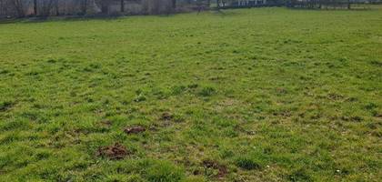 Terrain seul à Mauriac en Cantal (15) de 4160 m² à vendre au prix de 57900€ - 1