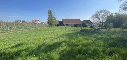 Terrain seul à Berstett en Bas-Rhin (67) de 3180 m² à vendre au prix de 559000€ - 2