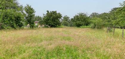 Terrain seul à Oradour-sur-Vayres en Haute-Vienne (87) de 1831 m² à vendre au prix de 20000€ - 1