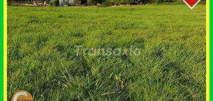 Terrain seul à Saint-Menoux en Allier (03) de 2001 m² à vendre au prix de 46200€ - 1