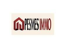 Logo du client PESMES-IMMO