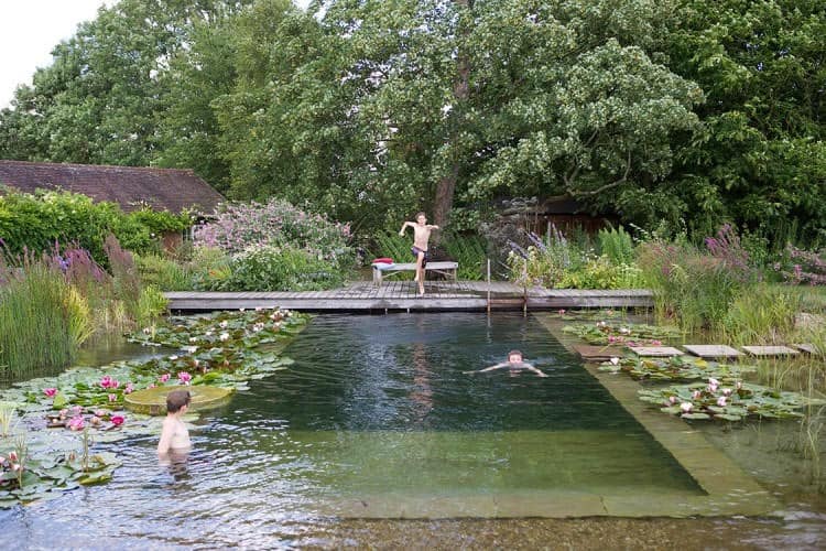 piscine naturelle écologique