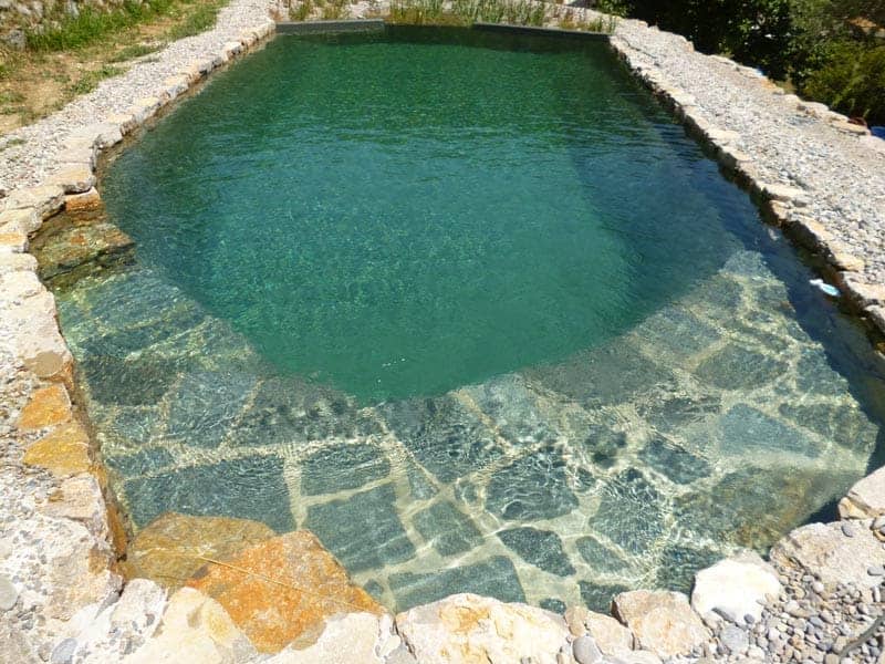 piscine écologique