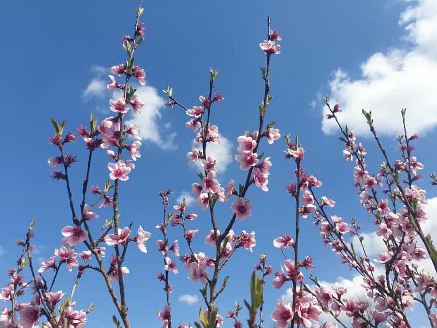 Paysage Campagne Terrain Confinement