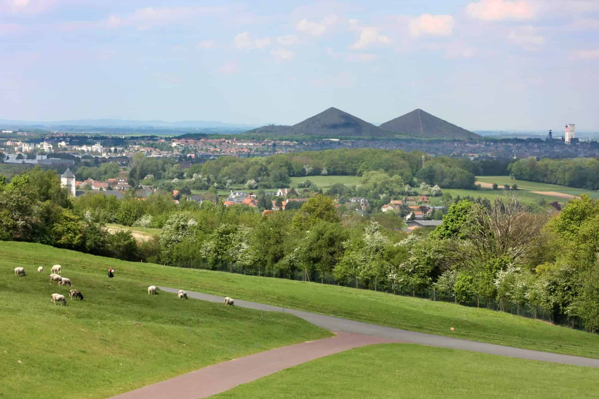 terrain a vendre - Pas de Calais (62)