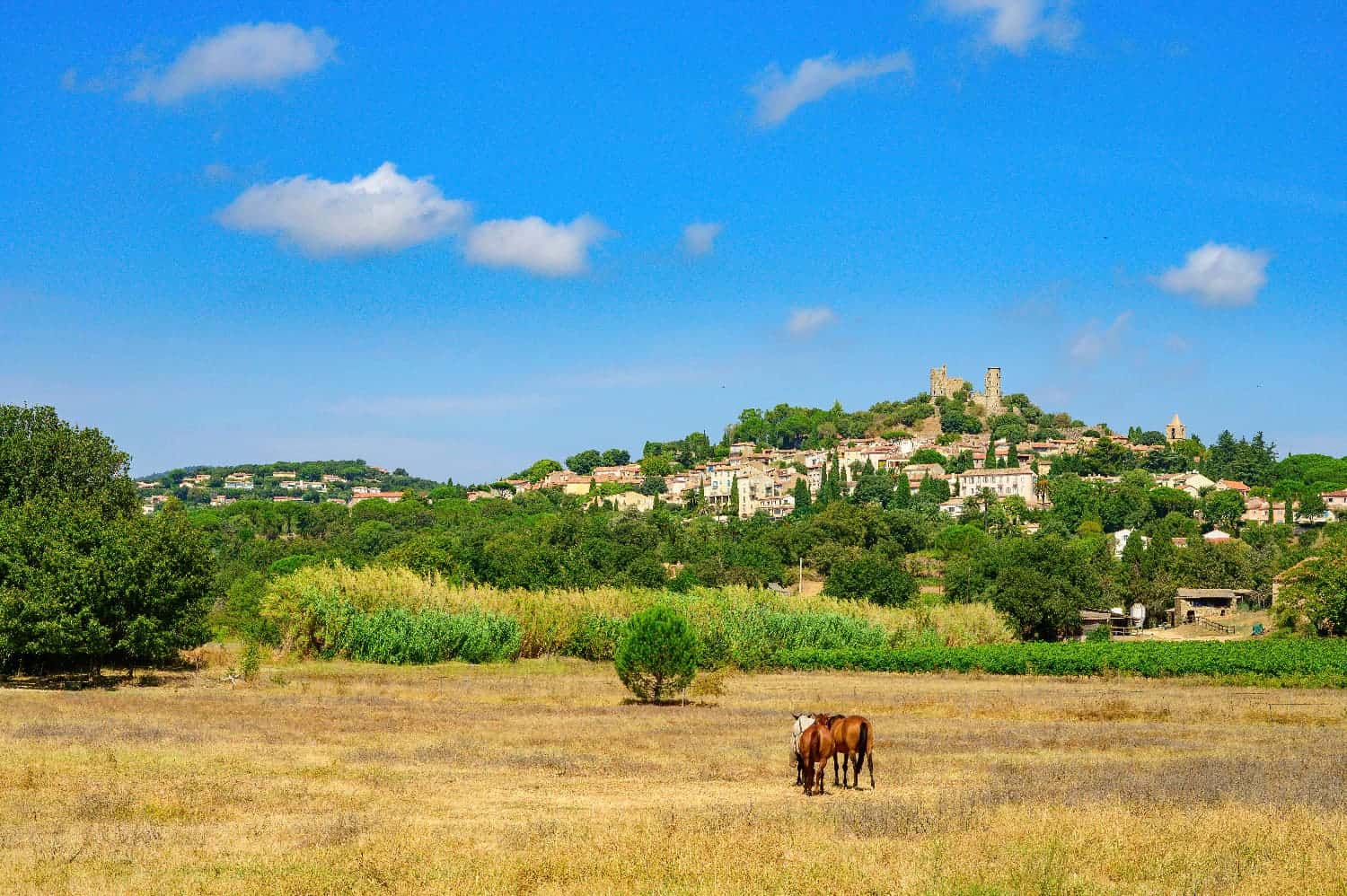 Acheter un terrain dans le Var (83)