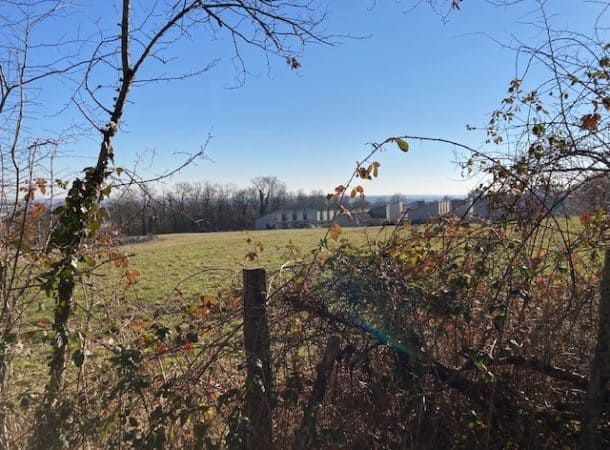 Image du post Le Clos du Mas Bilier : un nouveau lotissement de 24 terrains à bâtir à Limoges (87)