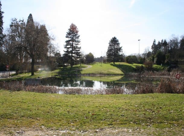 environnement du lotissement le Domaine des Vieux Chênes, à Isle (87)
