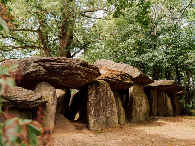 La Roche aux F&eacute;es - Ess&eacute; (35)
