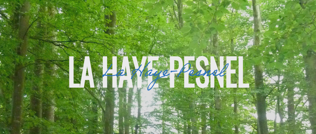 environnement de La Haye-Pesnel, petite commune rurale de la Manche (50)