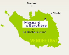 situation géographique de la commune de Mesnard-la-Barotière, en Vendée (85)