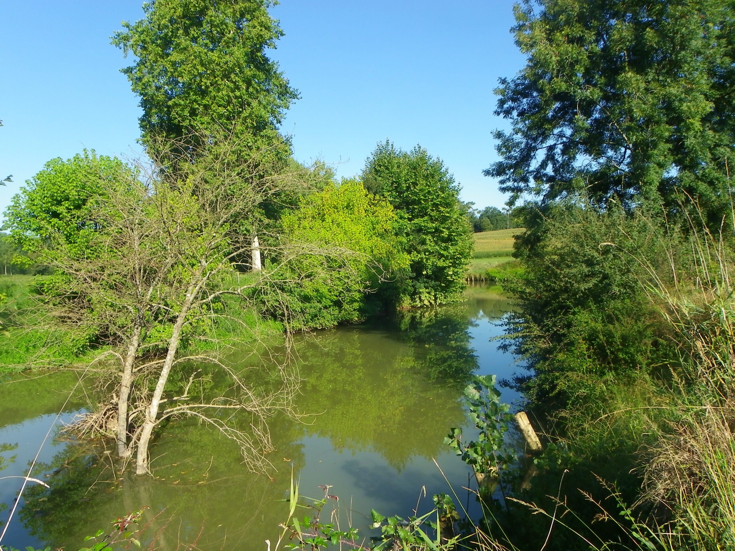 Image du post Saugnac-et-Cambran (40) : un nouveau lotissement de 25 terrains à bâtir