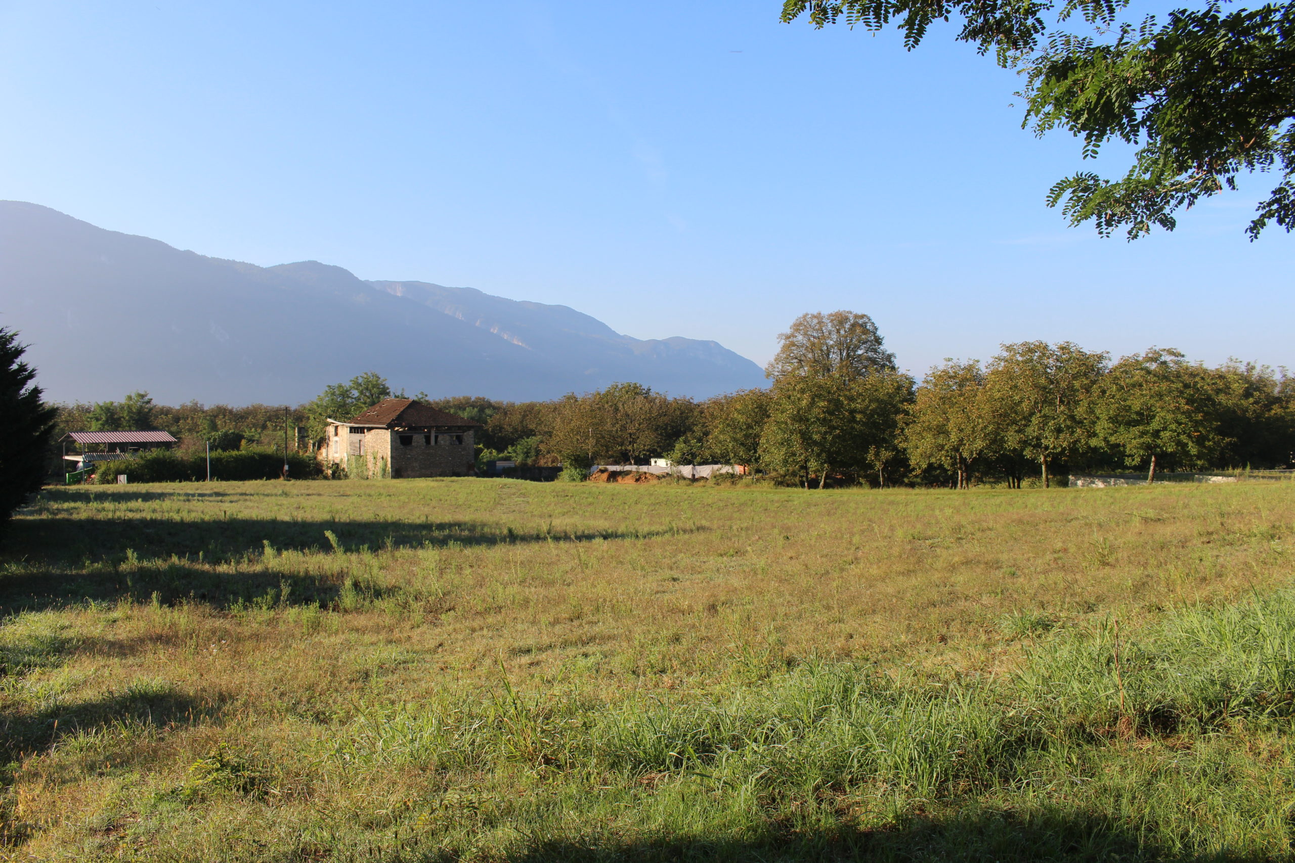 vue sur les parcelles du lotissement « Les Jardins d’Eva », à l'Albenc (38)