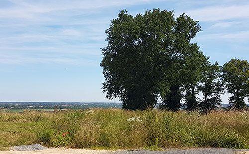 vue sur le lotissement de l'Horizon, à Saint-Georges-des-Gardes (49)